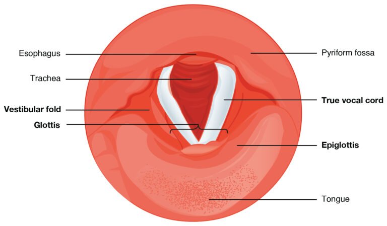 Preventing Glaucoma: Tips for Healthy Eyes